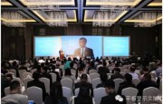 中國?北京2015國際顯示產(chǎn)業(yè)高峰論壇隆重召開(kāi)