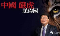 趙偉國：其實(shí)你不懂我的“芯”