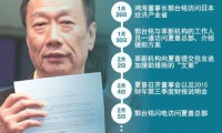 夏普“舉棋不定” 多米諾重組化為泡影