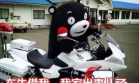 熊本熊家鄉(xiāng)地震，日本半導(dǎo)體供應(yīng)商停工匯總
