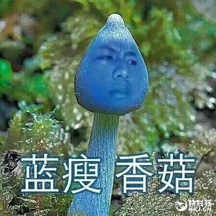 錘子T3發(fā)布會(huì)撞日王寶強(qiáng)馬蓉離婚案