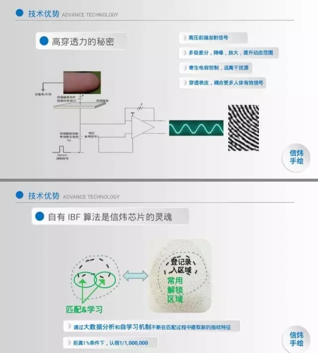 信煒科技秋季發(fā)布會(huì)側(cè)記