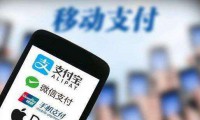 2016年支付業(yè)務(wù)統計數據：移動(dòng)支付筆數漲85.82%