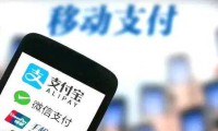 國內(nèi)移動支付市場集中度高
