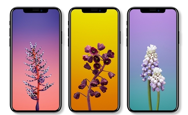iPhone X處理器/內(nèi)存/攝像頭全曝光:安卓集體顫抖