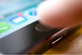 指紋識(shí)別：如何證明你不是一條狗？