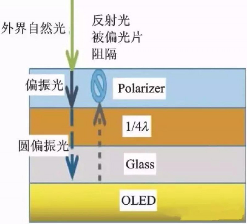 OLED用偏光片發(fā)展歷程、功能、效用、市場預測