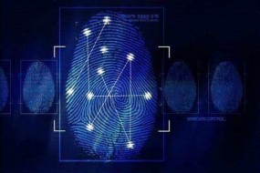 神盾2017成績單：每股獲利排名進前十，營收大漲183%