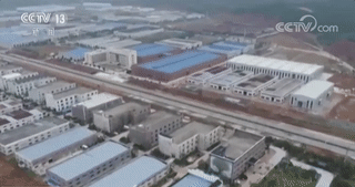 揚子鱷保護區遭科大訊飛侵占 當地官員:誰(shuí)說(shuō)不能占