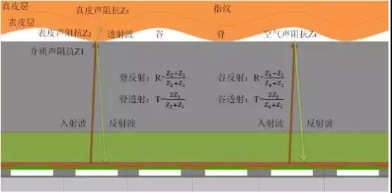 三星S10超聲波指紋供應商曝光:高通方案/GIS歐菲科技供模組