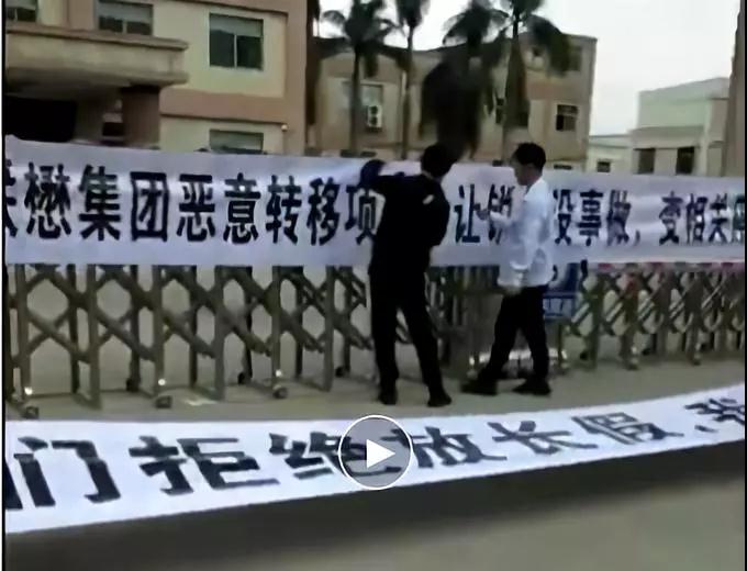 星星科技旗下聯(lián)懋子公司：反對集團轉移項目，變相關停銳鼎