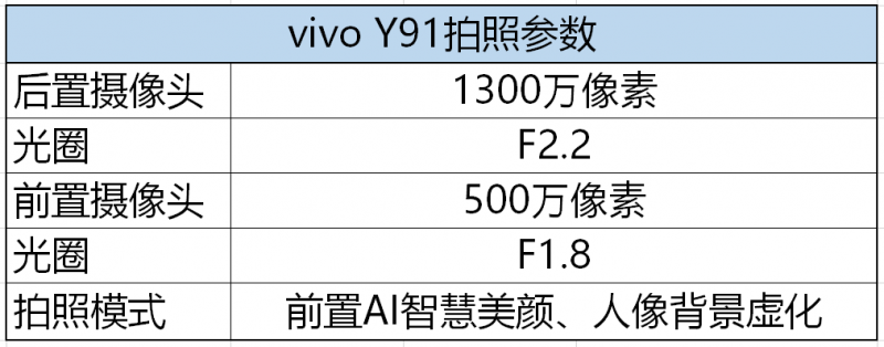 vivo Y91
